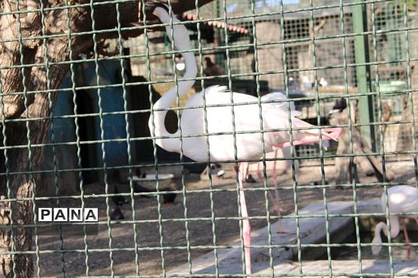 باغ وحش وکیل‌آباد مشهد