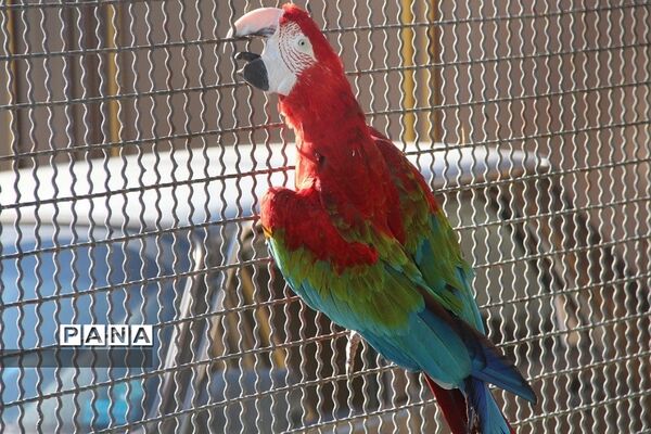 باغ وحش وکیل‌آباد مشهد