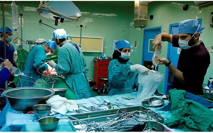 افزایش ۲۰ درصدی اهدای عضو افراد مرگ مغزی