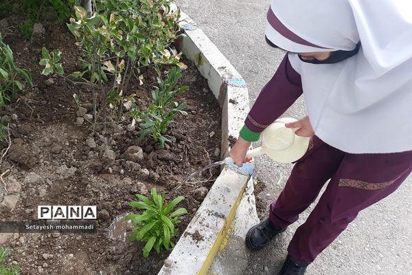 گلکاری حیاط مدرسه حضرت زهرا(س)۲ رودهن توسط دانش‌آموزان