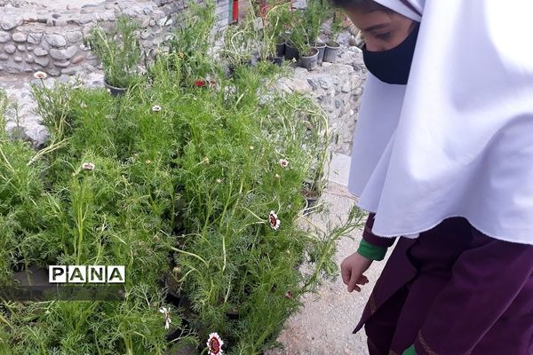 گلکاری حیاط مدرسه حضرت زهرا(س)۲ رودهن توسط دانش‌آموزان