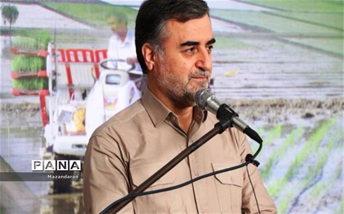 مخلوط کردن برنج‌ خارجی و داخلی خیانت به کشاورزان مازندران است
