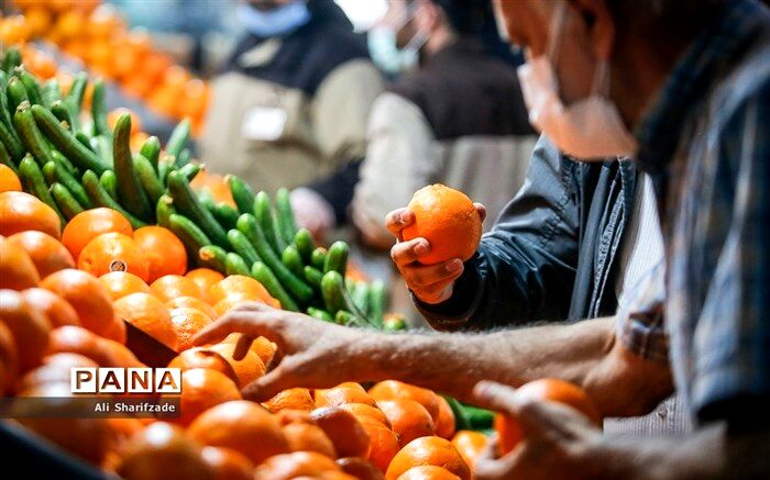 میادین و بازارهای میوه و تره‌بار چهارشنبه و جمعه تعطیل هستند