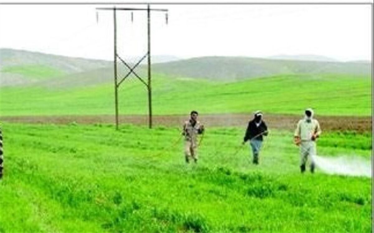 تولید ۹۰ درصدی کودهای کشاورزی در کشور