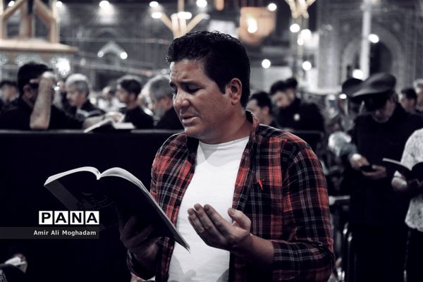 الهی به علی بن‌موسی...