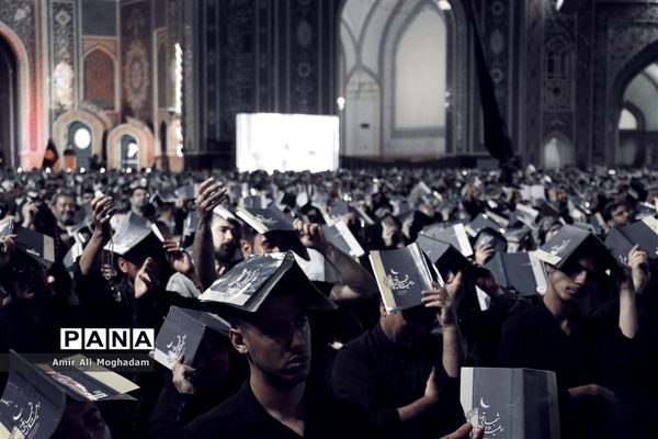 الهی به علی بن‌موسی...