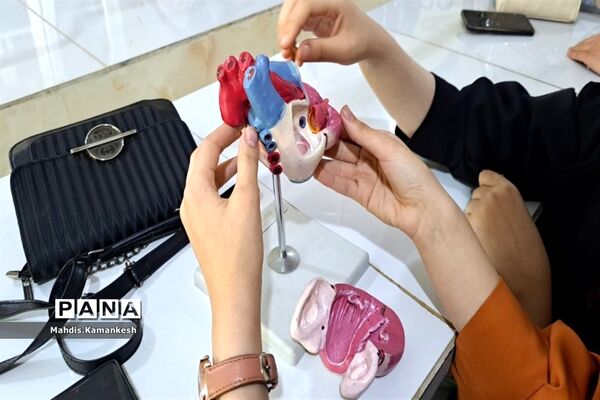 کارگاه تشریح قلب در پژوهشسرای دخترانه خوارزمی پاکدشت