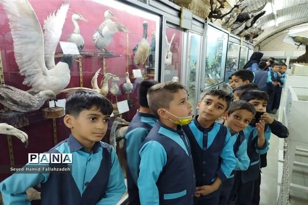 بازدید دانش‌آموزان دبستان قاسم(ع) ناحیه یک از موزه علوم طبیعی یزد
