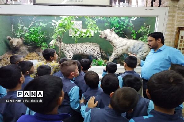 بازدید دانش‌آموزان دبستان قاسم(ع) ناحیه یک از موزه علوم طبیعی یزد