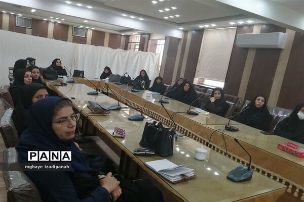 برگزاری کارگاه پیشگیری از اورژانس‌های روانپزشکی در خاتم