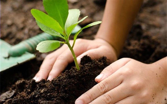 پویش ایران سرسبز با هدف کاشت یک میلیارد نهال در آذربایجان‌شرقی برگزار شد