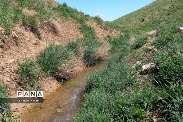 طبیعت زیبای روستای بارده، کرسنک