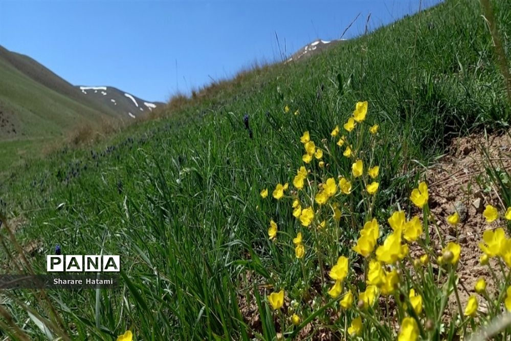 طبیعت زیبای روستای بارده، کرسنک