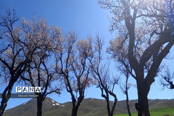 طبیعت زیبای روستای بارده، کرسنک