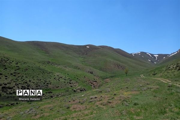 طبیعت زیبای روستای بارده، کرسنک
