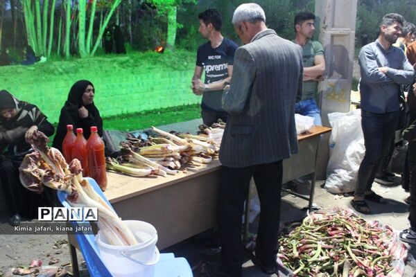 برگزاری سومین جشنواره ریواس در شهرستان ریوش