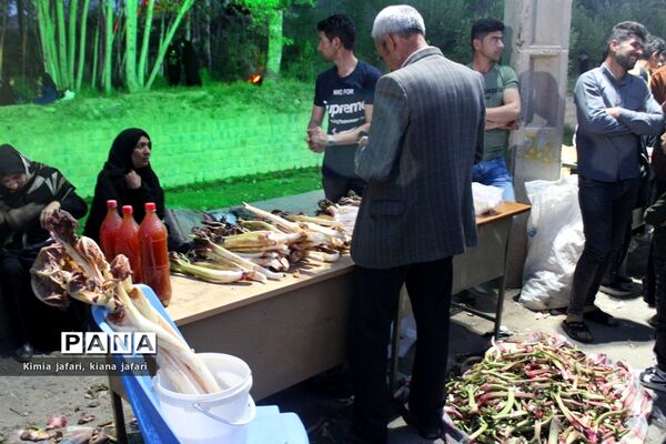 برگزاری سومین جشنواره ریواس در شهرستان ریوش