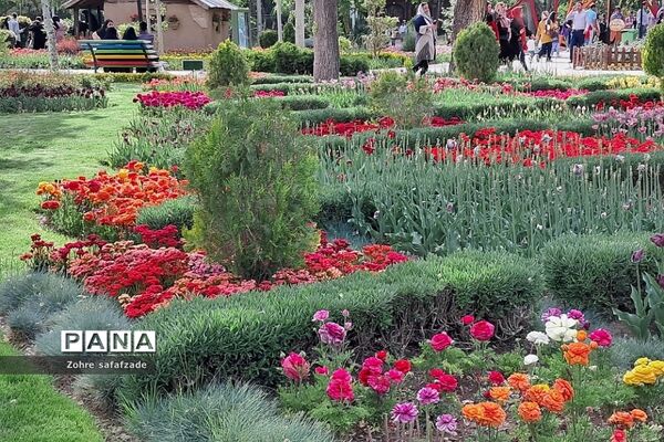 باغ گل کرج