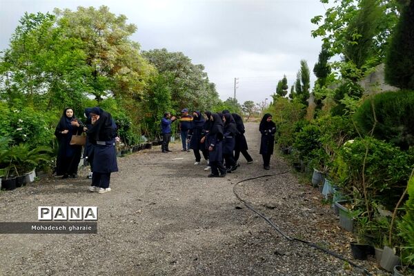 بازدید دانش‌آموزان دبیرستان نوشین بختیاری از گلخانه آلاله بخش جوادآباد بمناسبت هفته مشاغل