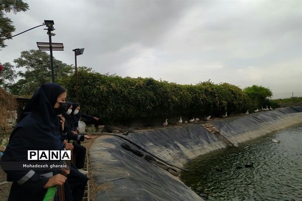 بازدید دانش‌آموزان دبیرستان نوشین بختیاری از گلخانه آلاله بخش جوادآباد بمناسبت هفته مشاغل