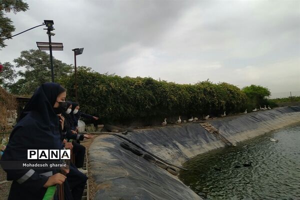 بازدید دانش‌آموزان دبیرستان نوشین بختیاری از گلخانه آلاله بخش جوادآباد بمناسبت هفته مشاغل