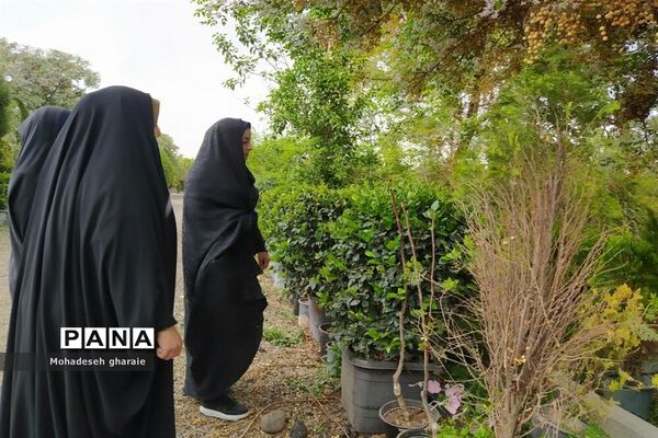 بازدید دانش‌آموزان دبیرستان نوشین بختیاری از گلخانه آلاله بخش جوادآباد بمناسبت هفته مشاغل