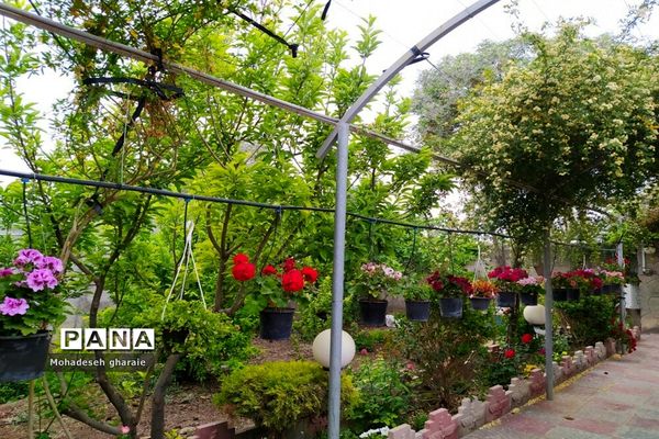 بازدید دانش‌آموزان دبیرستان نوشین بختیاری از گلخانه آلاله بخش جوادآباد بمناسبت هفته مشاغل