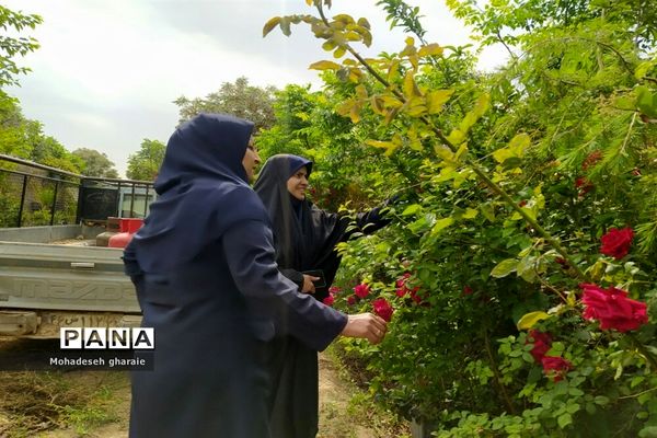 بازدید دانش‌آموزان دبیرستان نوشین بختیاری از گلخانه آلاله بخش جوادآباد بمناسبت هفته مشاغل