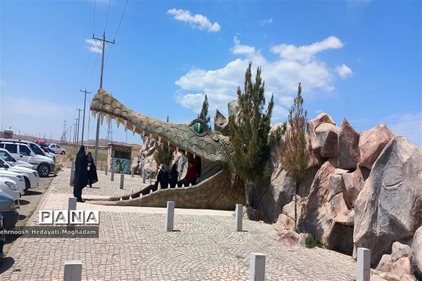 تاسیس پارک کروکودیل با بیش از ۸۰ کروکودیل متفاوت