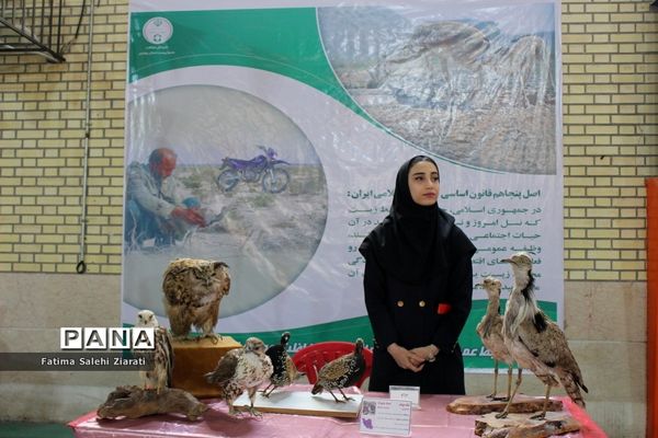 افتتاح نمایشگاه مشاغل در بوشهر