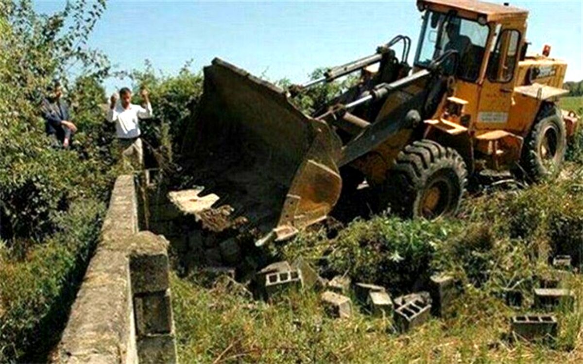 پرداخت بالغ بر ۵ همت غرامت بیمه به حوزه کشاورزی در سال گذشته