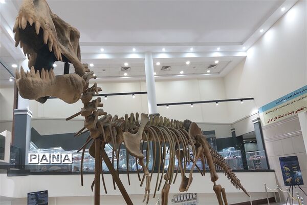 برگزاری کارگاه آشنایی با شهاب سنگ ها در پارک موزه علوم زمین مشهد