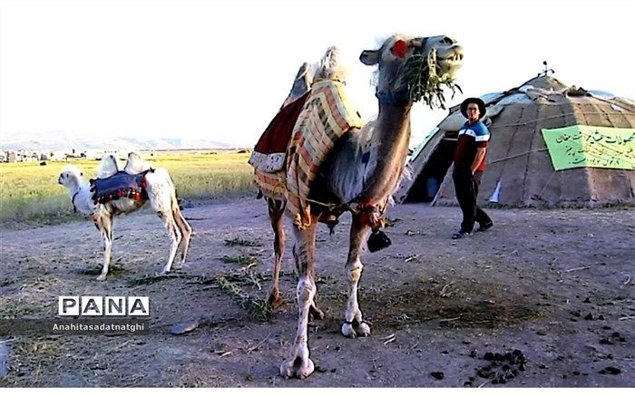 اختتامیه جشنواره کوچ عشایر شاهسون جعفرآباد مغان