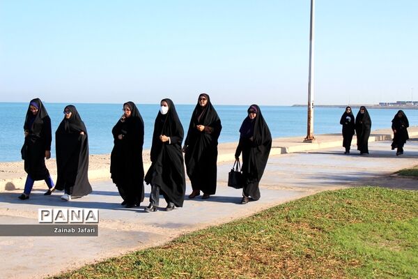همایش پیاده‌روی و مسابقات ورزشی کارمندان در بوشهر