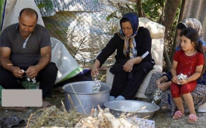 آموزش نوغانداری به دانش‌آموزان طاهرگورابی صومعه‌سرا