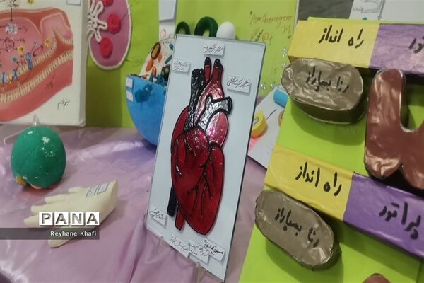 برگزاری جشنواره زیست‌شناسی در دبیرستان کوثر