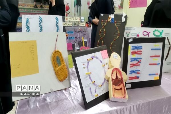 برگزاری جشنواره زیست‌شناسی در دبیرستان کوثر
