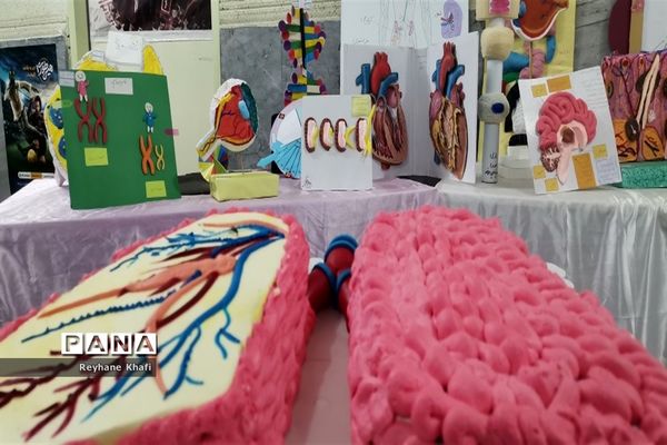برگزاری جشنواره زیست‌شناسی در دبیرستان کوثر