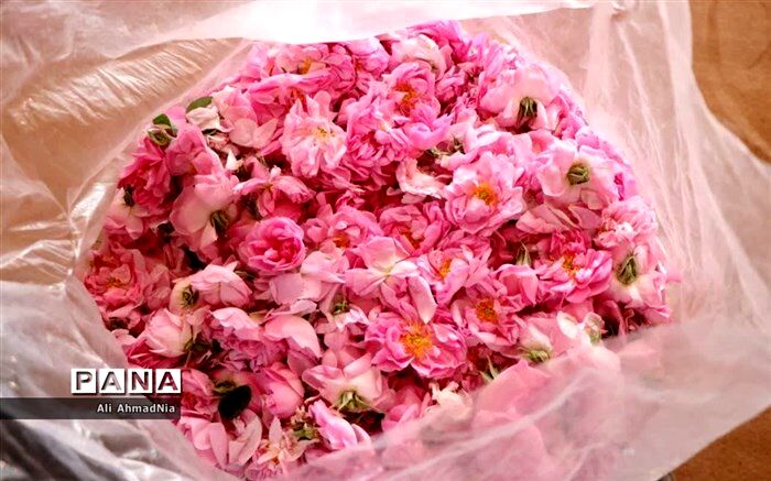 برپایی نمایشگاه اقوام ایرانی در جنوب پایتخت