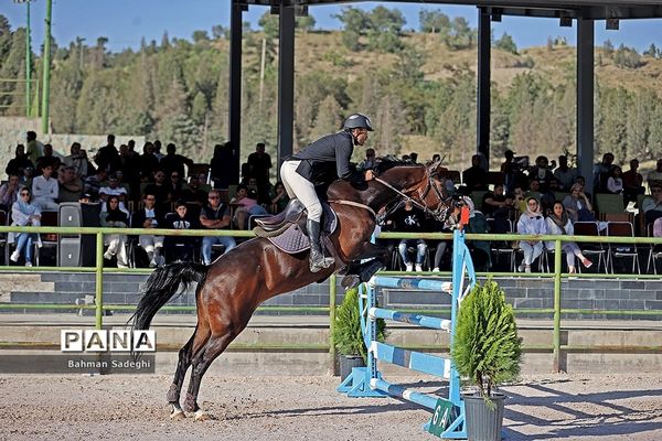 مسابقات جهانی سوارکاری  در ایران