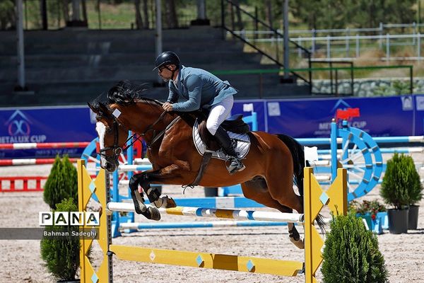 مسابقات جهانی سوارکاری  در ایران