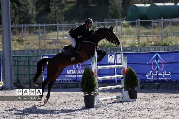 مسابقات جهانی سوارکاری  در ایران