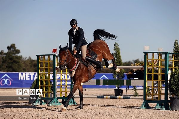 مسابقات جهانی سوارکاری  در ایران