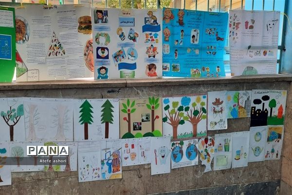 اختتامیه برنامه سفیران سلامت منطقه دو تهران