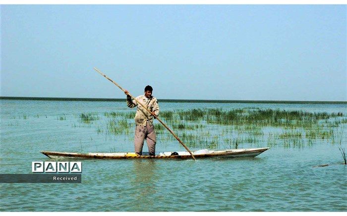 تهیه سند توسعه تالاب شادگان در دستور‌کار سازمان حفاظت محیط زیست