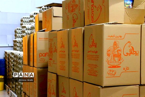 بازدید خبرنگاران از مجموعه مرغ صالحی کاشمر