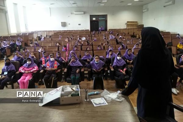 آموزش مهارت‌های تشکیلاتی به دانش‌آموزان دبستان دخترانه معارف6 ناحیه 3 شیراز
