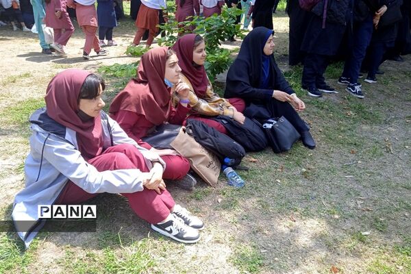 جلسه همیاران مشاور در ساری