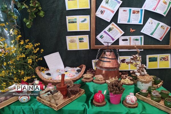 برپایی غرفه پژوهش‌سرای دانش‌آموزی ابوریحان منطقه جوادآباد و دیگر مناطق در بخش کهریزک، شهر ری