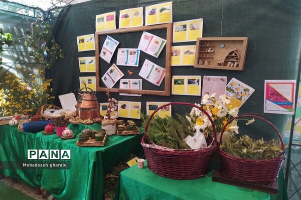 برپایی غرفه پژوهش‌سرای دانش‌آموزی ابوریحان منطقه جوادآباد و دیگر مناطق در بخش کهریزک، شهر ری